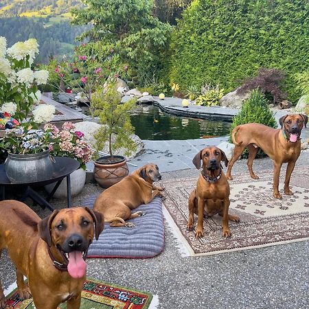 Ferienwohnung Waltensburg Breíl Zewnętrze zdjęcie